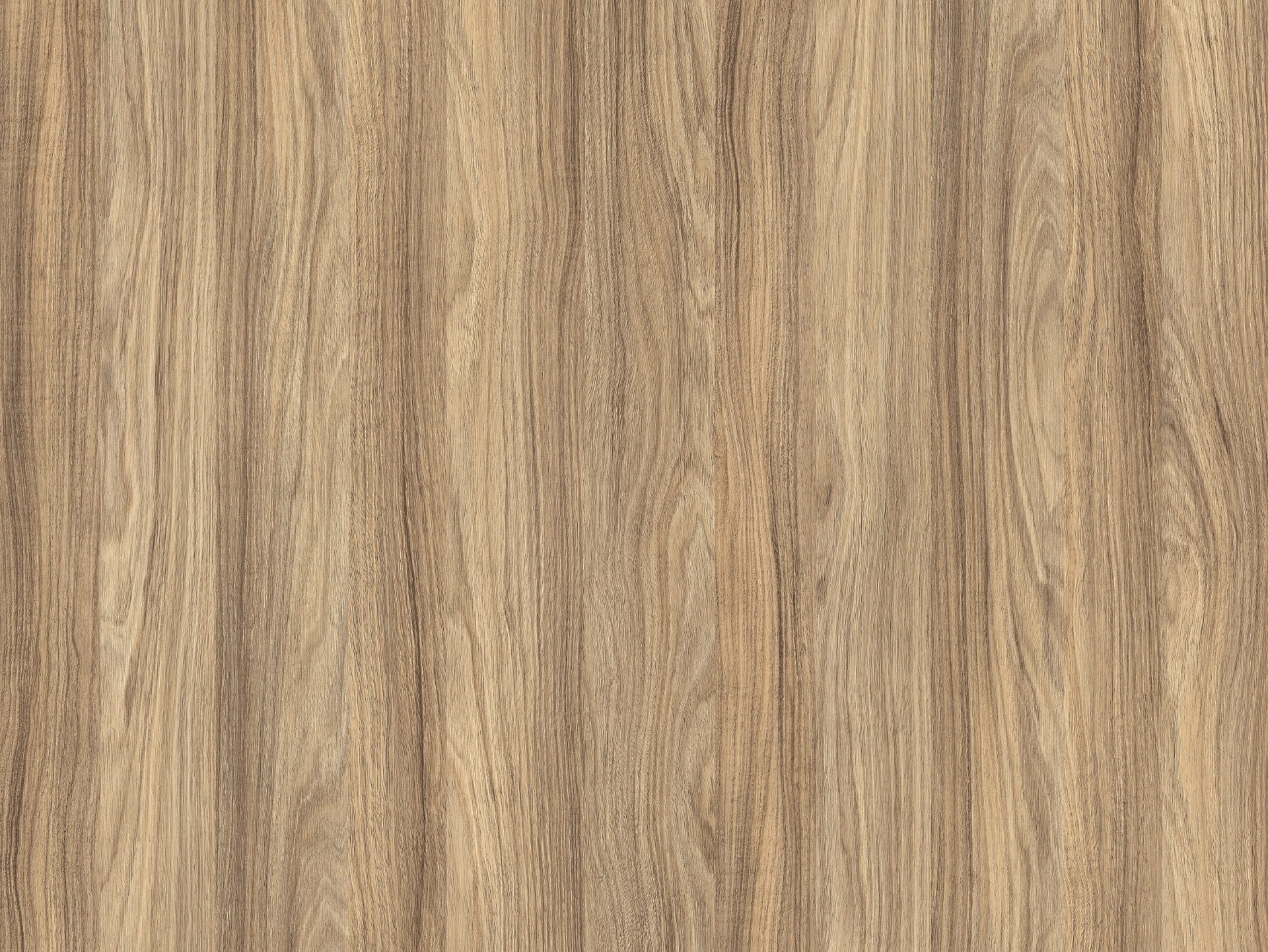 Płyta meblowa laminowana Blackwood Jęczmienny K021 SN