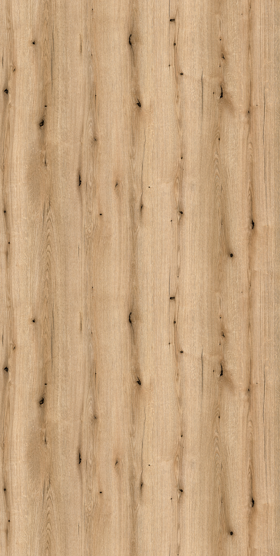 Panel ścienny K365 Coast Evoke Oak