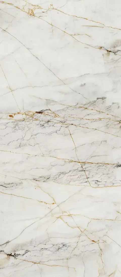 Wodoodporna płyta ścienna Marble Gold R154