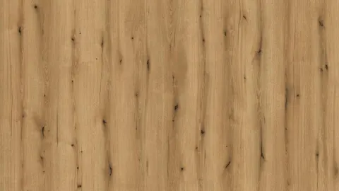 Płyta meblowa laminowana Dąb Evoke Coast K5573 IR